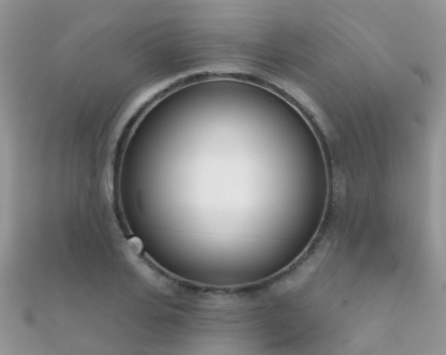 X0000112080935200908111452