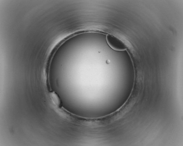 X0000112080936200908111452