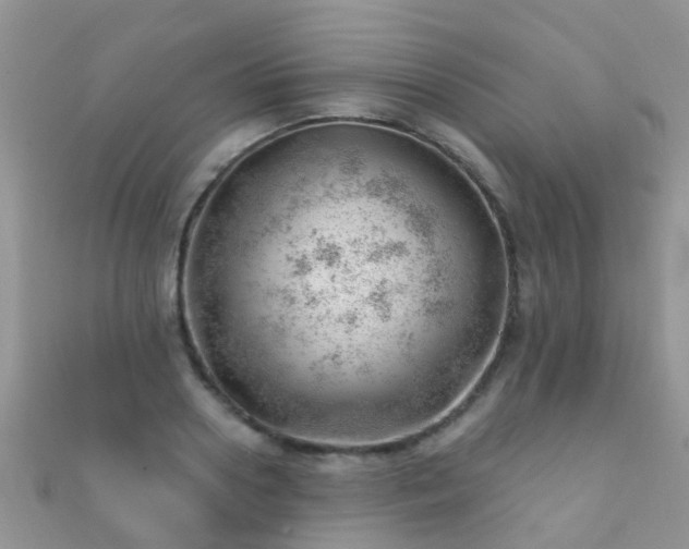 X0000112080938200908111452