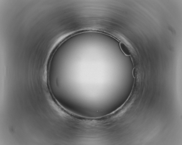 X0000112080940200908111452