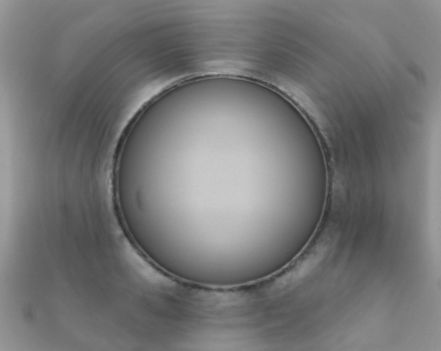 X0000112080941200908111452