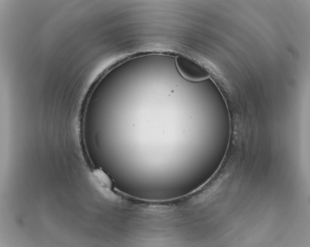 X0000112080942200908111452
