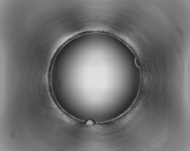 X0000112080943200908111452