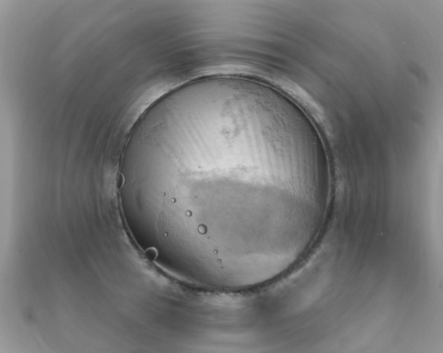 X0000112080945200908111452