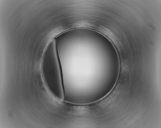 X0000112080946200908111452