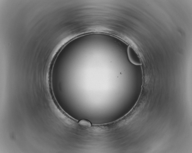 X0000112080947200908111452
