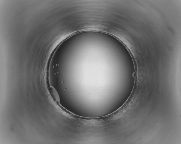 X0000112080949200908111452
