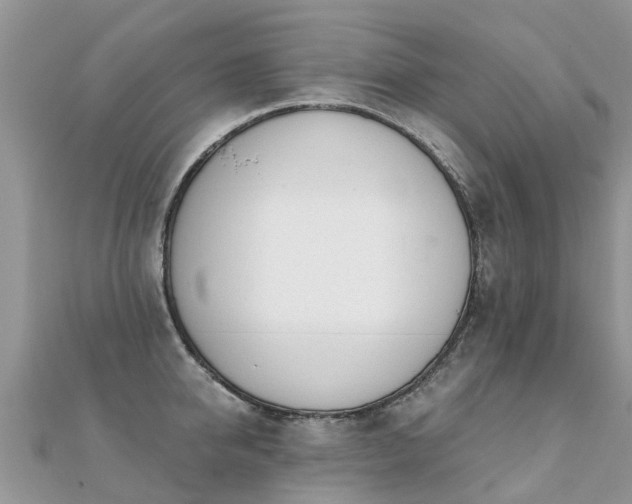 X0000112080950200908111452