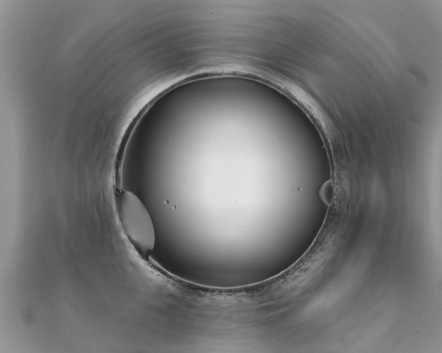 X0000112080951200908111452