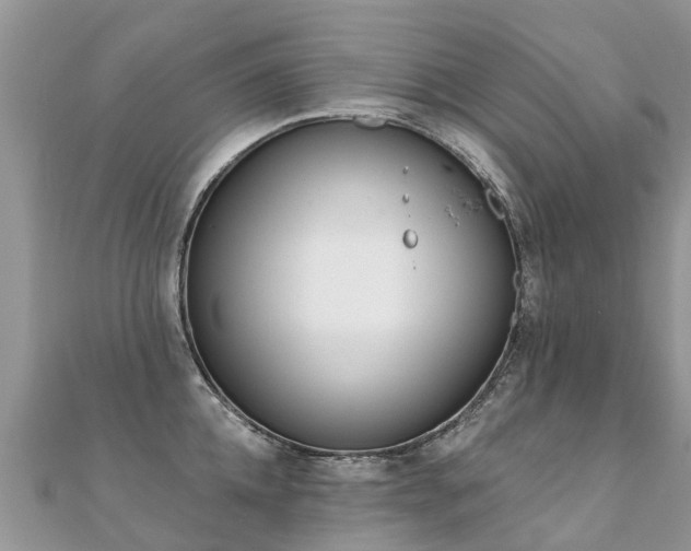 X0000112080952200908111452