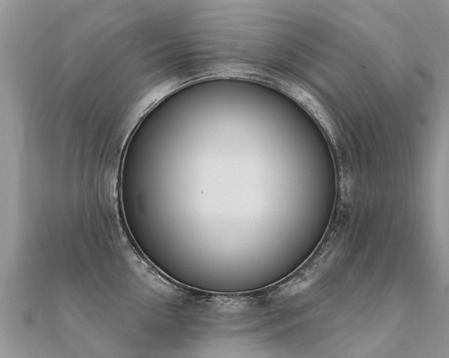 X0000112080954200908111452