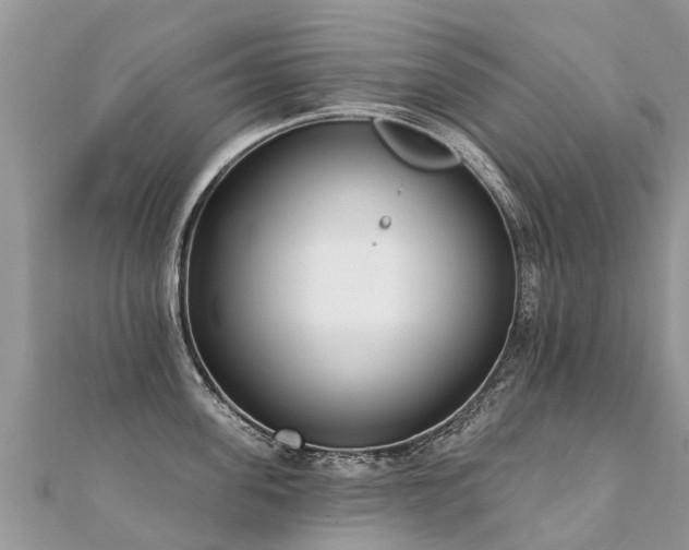 X0000112080955200908111452