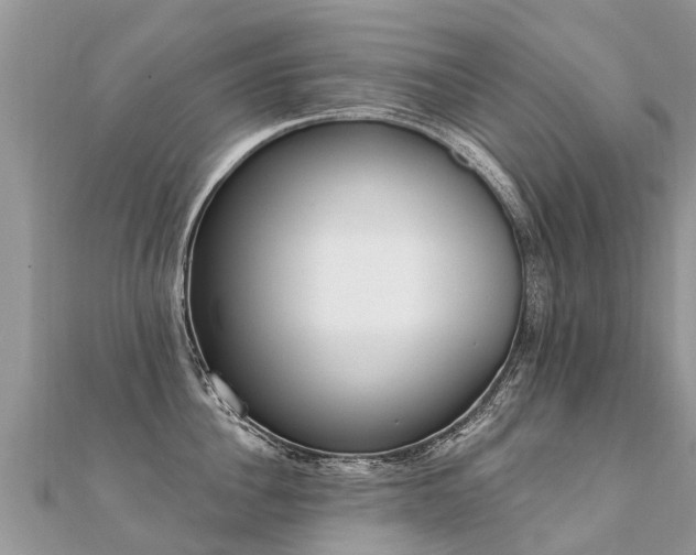 X0000112080956200908111452