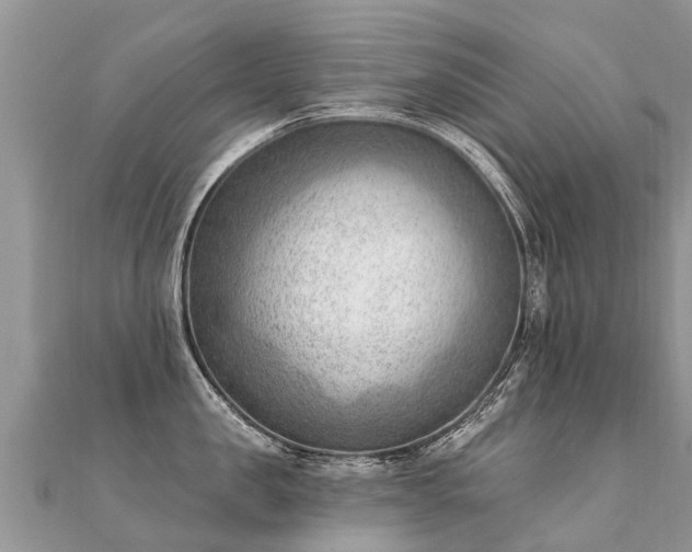 X0000112080957200908111452
