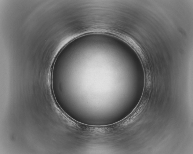 X0000112080958200908111452