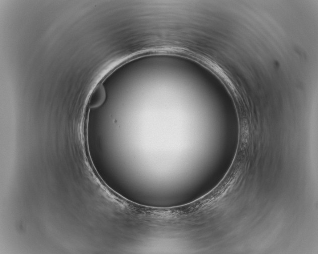 X0000112080959200908111452