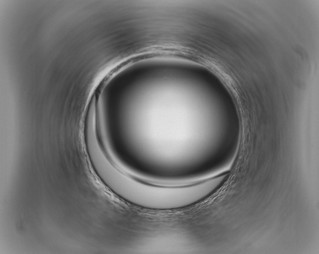 X0000112080960200908111452