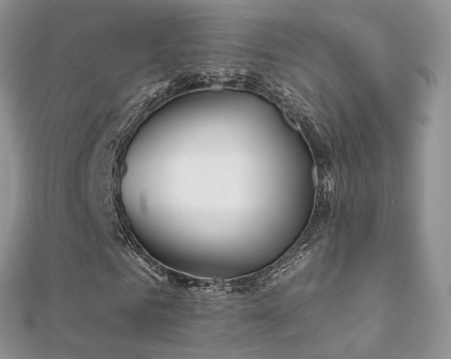 X0000112080961200908111451
