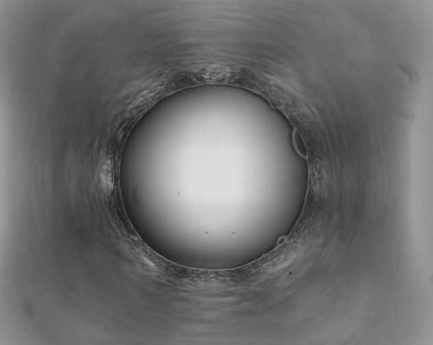 X0000112080962200908111451