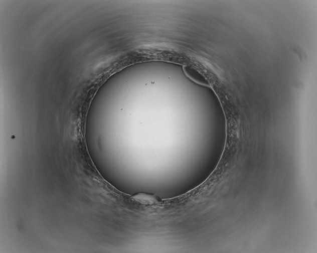 X0000112080965200908111451