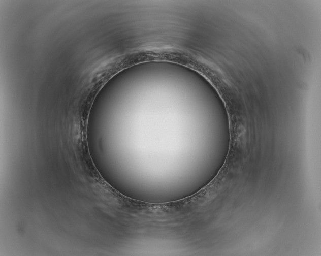 X0000112080966200908111451