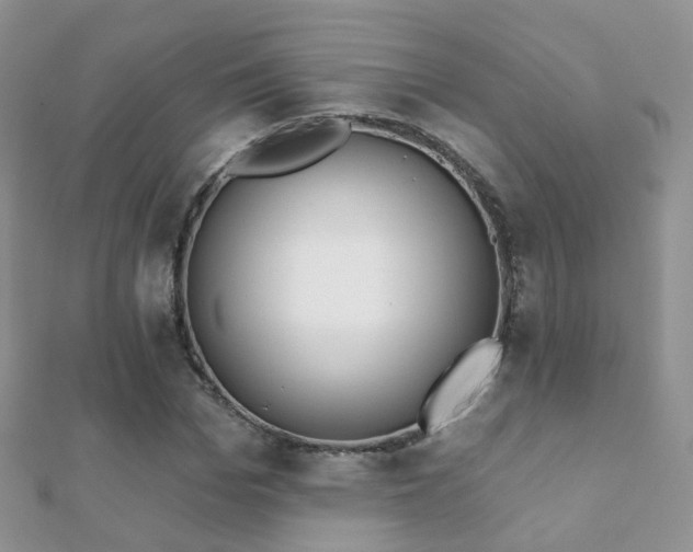 X0000112080969200908111451