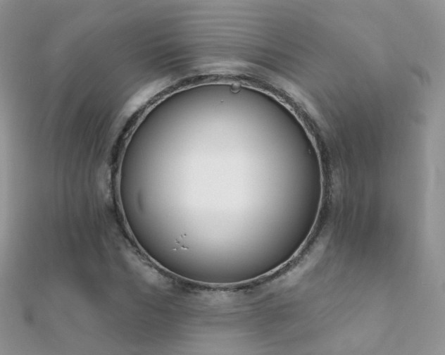 X0000112080970200908111451