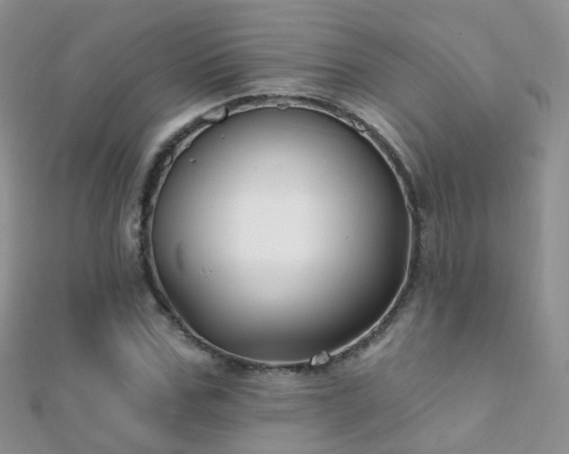 X0000112080971200908111451