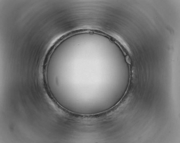 X0000112080972200908111451