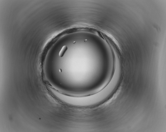 X0000112080973200908111451