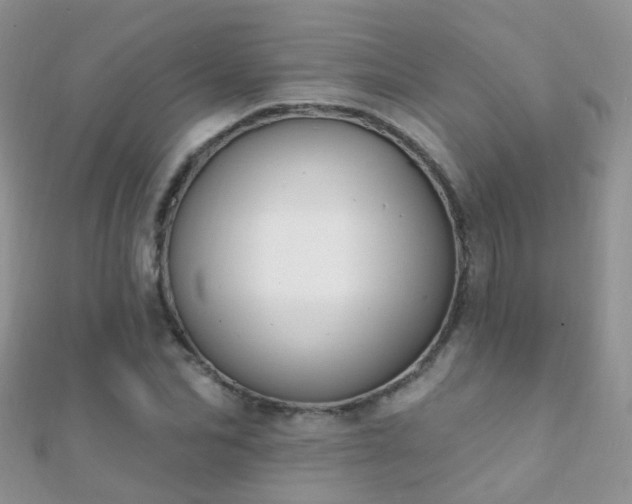 X0000112080974200908111451