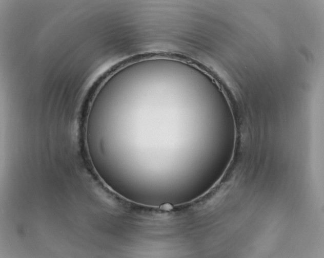 X0000112080975200908111451