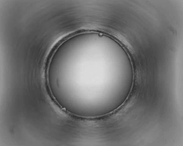 X0000112080976200908111451