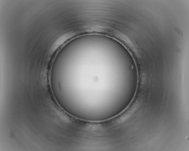 X0000112080978200908111451