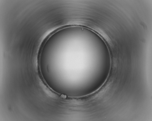 X0000112080980200908111451