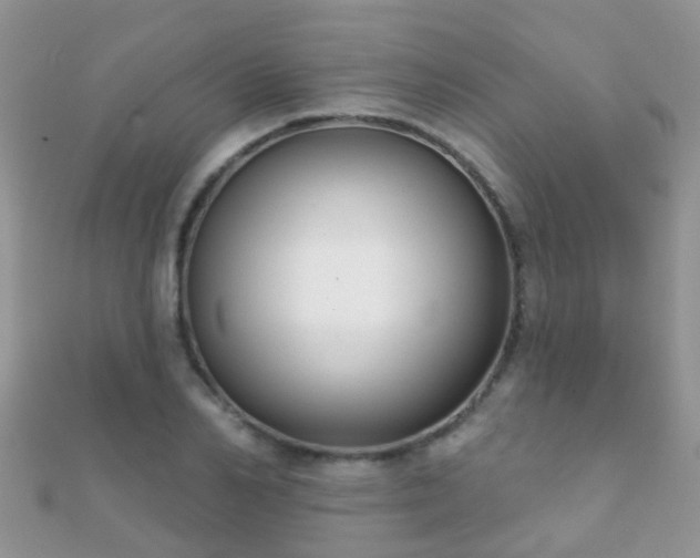 X0000112080982200908111451