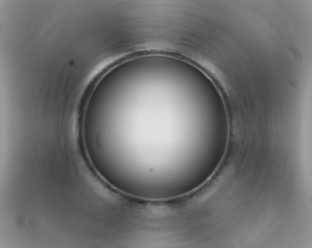 X0000112080983200908111451