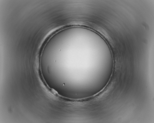 X0000112080984200908111451
