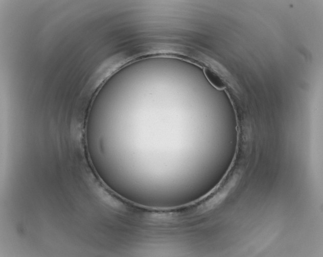 X0000112080985200908111451