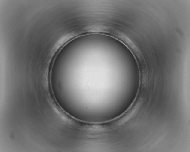 X0000112080986200908111451