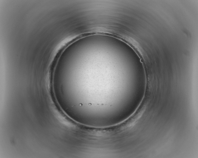 X0000112080987200908111451