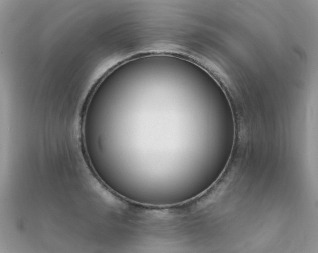 X0000112080990200908111451