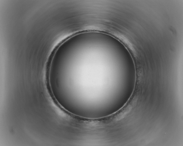X0000112080991200908111451