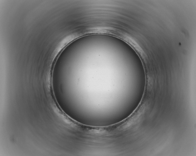 X0000112080994200908111451