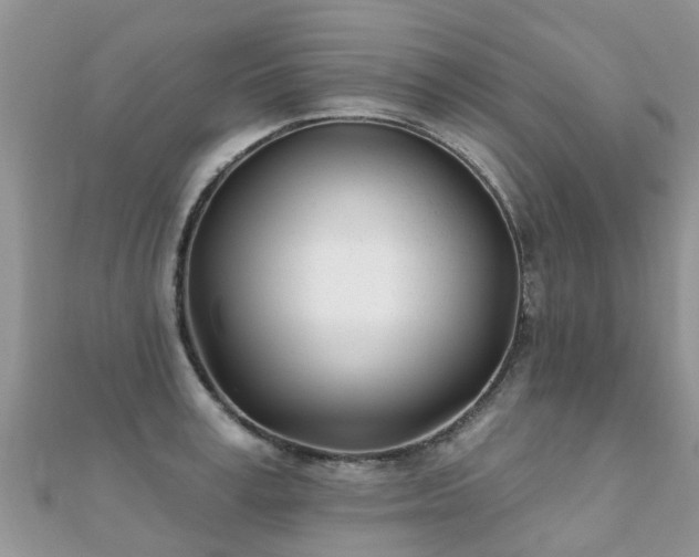 X0000112080995200908111451