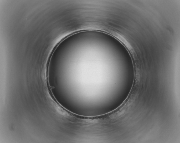 X0000112080996200908111451