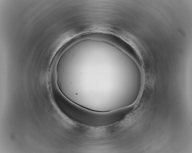 X0000112080997200908111451