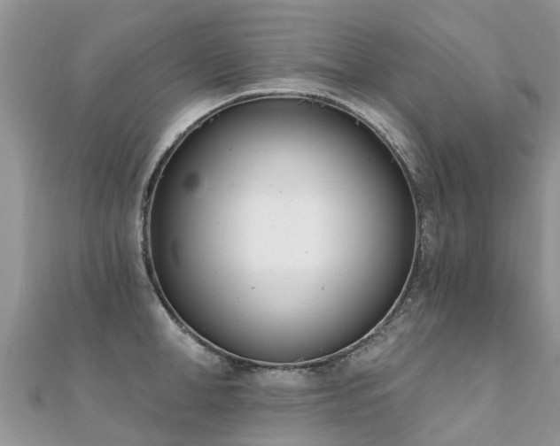 X0000112080998200908111451
