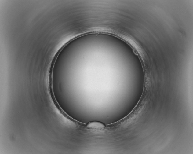 X0000112080999200908111451