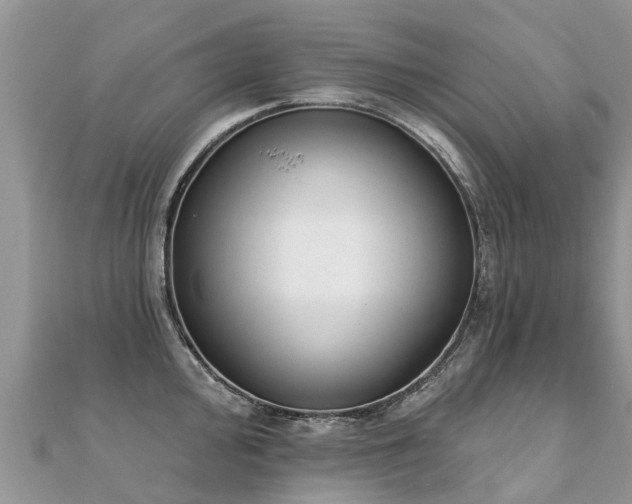 X0000112081000200908111451